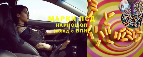 хмурый Липки