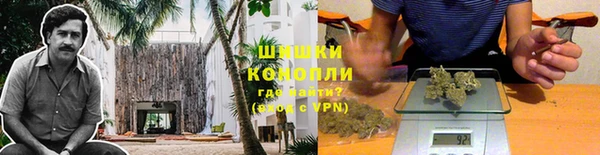 хмурый Липки