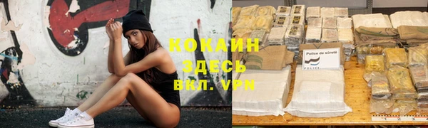Альфа ПВП Майский