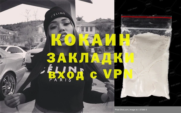 крисы Магас