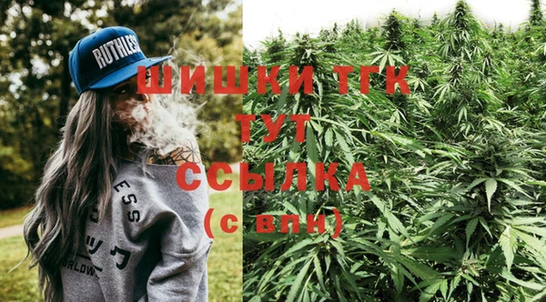 хмурый Липки