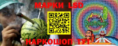 индика Заводоуковск
