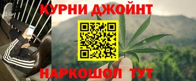 прущие грибы Жуковский