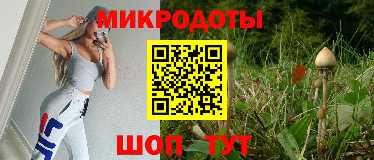 Галлюциногенные грибы прущие грибы Малгобек