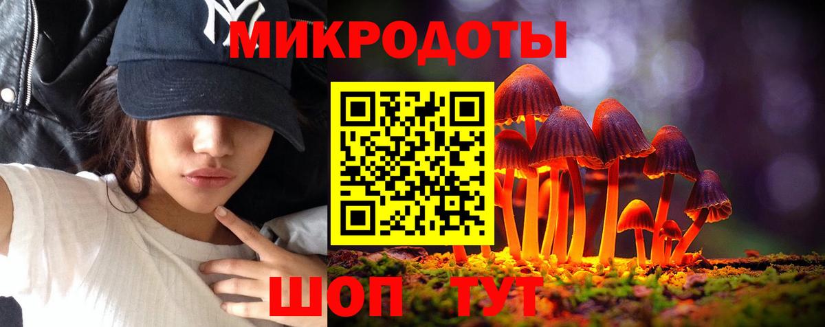 Малгобек  Псилоцибиновые грибы Cubensis  Вход с VPN 